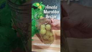 आंवले का मुरब्बा Amala Murabba RecipeAwale Ka Murabbapushpasharma7262 Healthy Recipes [upl. by Anissej930]