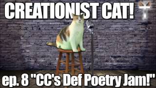 Several Minutes of Creationist Cat Theme Songs [upl. by Vanni]