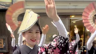 【誠連・高円寺フェス】 女踊り・扇の舞！ 輪踊り（中通り商店街）黒地に桜の散るお衣装が素敵！ 高円寺フェス 阿波おどり 高円寺 awaodori 祭り shorts [upl. by Annoynek]