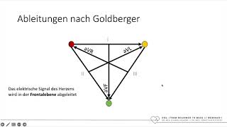 EKG  From Beginner To Boss  Teil 1  Basics  mit Dr Sebastian Feickert [upl. by Parfitt]