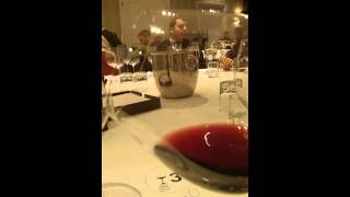 Riedel Masterclass Pinot Noir Vinum Glass [upl. by Gold42]