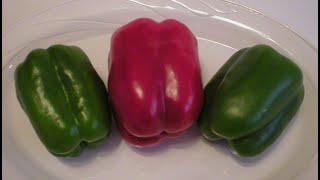 Bell Peppers 101Nutrition Facts amp Health Benefits [upl. by Levesque]