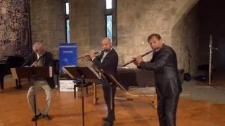 Devienne  Trio op 19 em Sol M  Allegro con gusto [upl. by Yla]