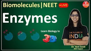 Biomolecules  Enzymes  CBSE Class 11 Biology Chapter 9  NEET 202324  Vani Maam [upl. by Kirre562]