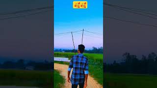 Beer Song Expression Dance beersong diesel dancemusic trending shorts [upl. by Harbed]