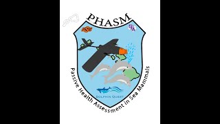 The PHASM SMM 2024 video for Perth [upl. by Atnohs]