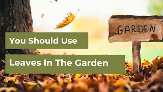 Why You Should Use Leaves in Your Garden Free Mulch Compost amp Soil Booster [upl. by Catt929]