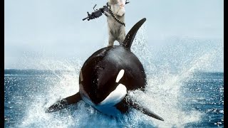 Killer Whale vs Polar Bear  Polar bear attacks Killer Whale New 2016 [upl. by Everard433]