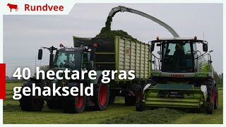 40 hectare gras gehakseld en ingekuild in HazerswoudeDorp [upl. by Liagiba]