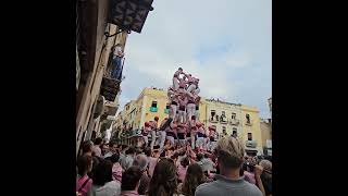 7d8  Diada de Tots Sants 2024 [upl. by Barayon95]