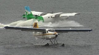 Seaplanes landing and takeoff in Vancouver Harbor CYHC airport [upl. by Rob782]