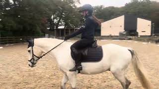 Erider dressage test novice 3a [upl. by Ward511]