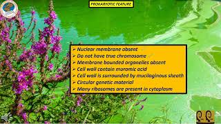 CYANOBACTERIA  CH  06  Lecture 04  FBISE  TIBS  federal board [upl. by Arbe]