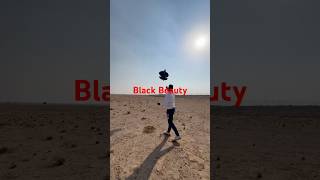 Kite testing fypage patangbaaji kitegame kiteflyinggame patangbaazi kiteflying mustwatch fy [upl. by Enhpad944]