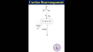 Curtius rearrangement youtube science ytshorts [upl. by Mauceri422]