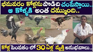 SUCCESS STORY OF 30 YEARS JAMALAYYA In TempalliBhimavaram Jathi Kolla PempakamNatukodi Farms [upl. by Ymirej]