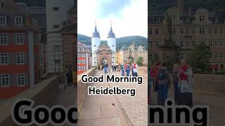 Good Morning Heidelberg Dont miss the end 💗 [upl. by Riggall]