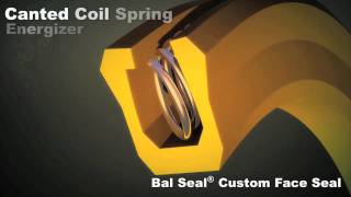 Bal Seal® SpringEnergized Seal Solutions for Aerospace amp Defense [upl. by Jezrdna]