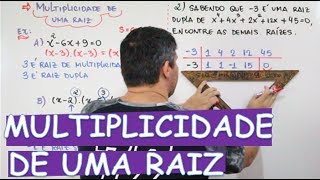 POLINÃ”MIOS  MULTIPLICIDADE DE UMA RAIZ OU RAÃZES MÃšLTIPLAS 912 [upl. by Cookie]