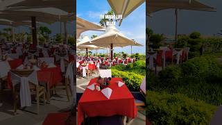 TUI MAGIC LIFE BELEK  TURKEY shorts restaurant hotel turkey turkishnight [upl. by Hedges]