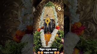 विठ्ठल पाहुणा आला माझ्या घरा भक्ती भजन मराठी शॉर्ट्स स्टेटस devotionalsongs [upl. by Aiekam]