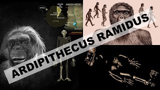 Ardipithecus ramidus [upl. by Cesar388]