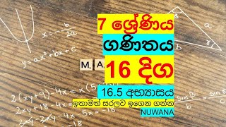 grade 7 maths 165 අභ්‍යාසය 16 දිග nuwana [upl. by Goldner]