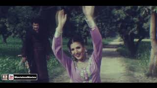 AINU ISHQ DI HATHKARI LAWAN  NASEEBO LAL  RESHAM  PAKISTANI FILM DOSA [upl. by Poyssick]