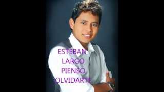 Música Popular Colombia 2024 Esteban Largo Pienso Olvidarte [upl. by Templas]