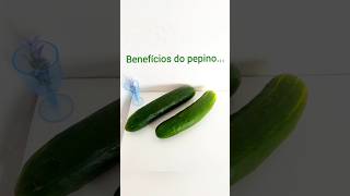 Benefícios do pepino 🥒 [upl. by Tuneberg]