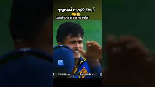 හොදම පරිවර්තනය සිදුවෙමින් පවතී🙃🫰srilanka youtubeshorts cricket [upl. by Strait]