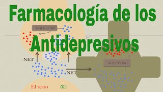 Farmacología del citalopram la fluoxetina y otros antidepresivos [upl. by Modeerf]