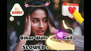 Bihar Wala Chal Gail SLOWED  REVERB Latest Bhojpur 2024 bhojpuri shilpiraj bhojpurilofisong [upl. by Eaneg575]