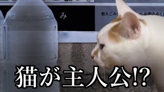 【意味が分かると怖い】ねこが主人公の新しすぎるホラーゲーム [upl. by Dowski]