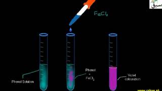 Identify phenol using Ferric Chloride test [upl. by Jaan]