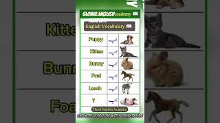 What are the children of following animals called foryou english englishasasecondlanguage [upl. by Duhl]