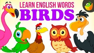 Birds  Pre School  Learn English Words Spelling Video For Kids and Toddlers [upl. by Rozalin]