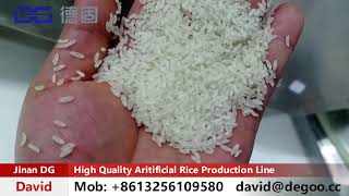 High Quality Fortified Rice Kernels Production Line India Market [upl. by Ariamo]