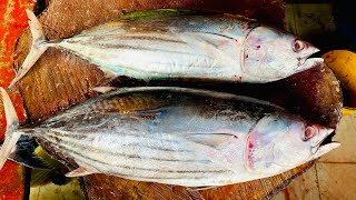 Delicious Skipjack Tuna Fish Cutting Live In Fish Market  Knife Skills [upl. by Nairolf]