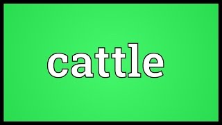 Cattle Meaning [upl. by Aynna909]