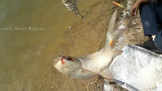 Rohu Catfish amp Tilapia Fish Catching Hyderabad Fishing hyderabad fishing [upl. by Isabelle]