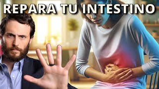 Cómo Reparar el SIBO y tu Salud Intestinal [upl. by Cord116]