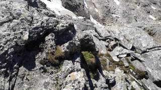 Aufstieg zur Goldbergspitze 3073m  Großes Zirknitztal  Hoher Sonnblick im August 2016 [upl. by Wolf909]