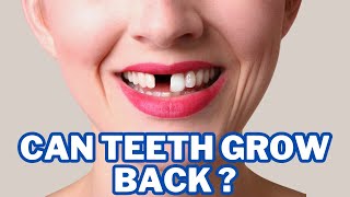 What are stem cell dental implants  Can teeth grow back [upl. by Rosalie]