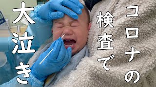 【濃厚接触者になった赤ちゃん。抗原検査で大泣き😥】赤ちゃん1歳9ヶ月 [upl. by Ovida]