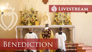 Benediction of the Blessed Sacrament  122821 St Thomas Aquinas Seminary [upl. by Nah]