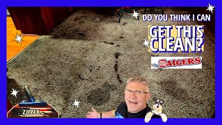 How many think I CANNOT get these TRASHED Carpets Clean [upl. by Goldshell891]