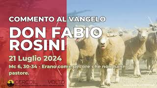 don Fabio Rosini  Commento al Vangelo di domenica 21 Luglio 2024 [upl. by Mena123]