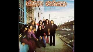 Lynyrd Skynyrd  Free Bird  Guitar only lead [upl. by Ennoid]