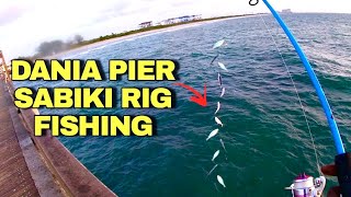 Dania Pier Sabiki Rig FISHING [upl. by Aleicarg]